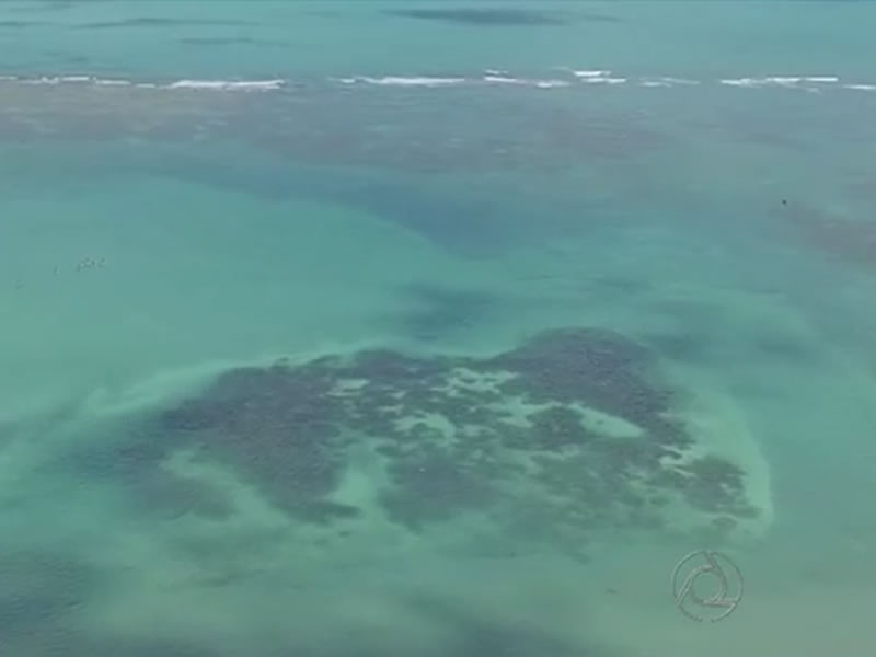 Caribessa recebe turistas durante o carnaval